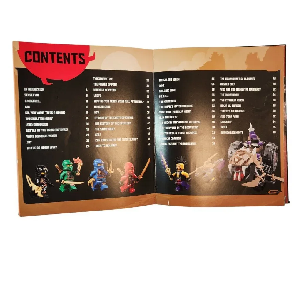 LEGO NINJAGO: Secret World of the Ninja Hardcover by Beth Landis Hester
